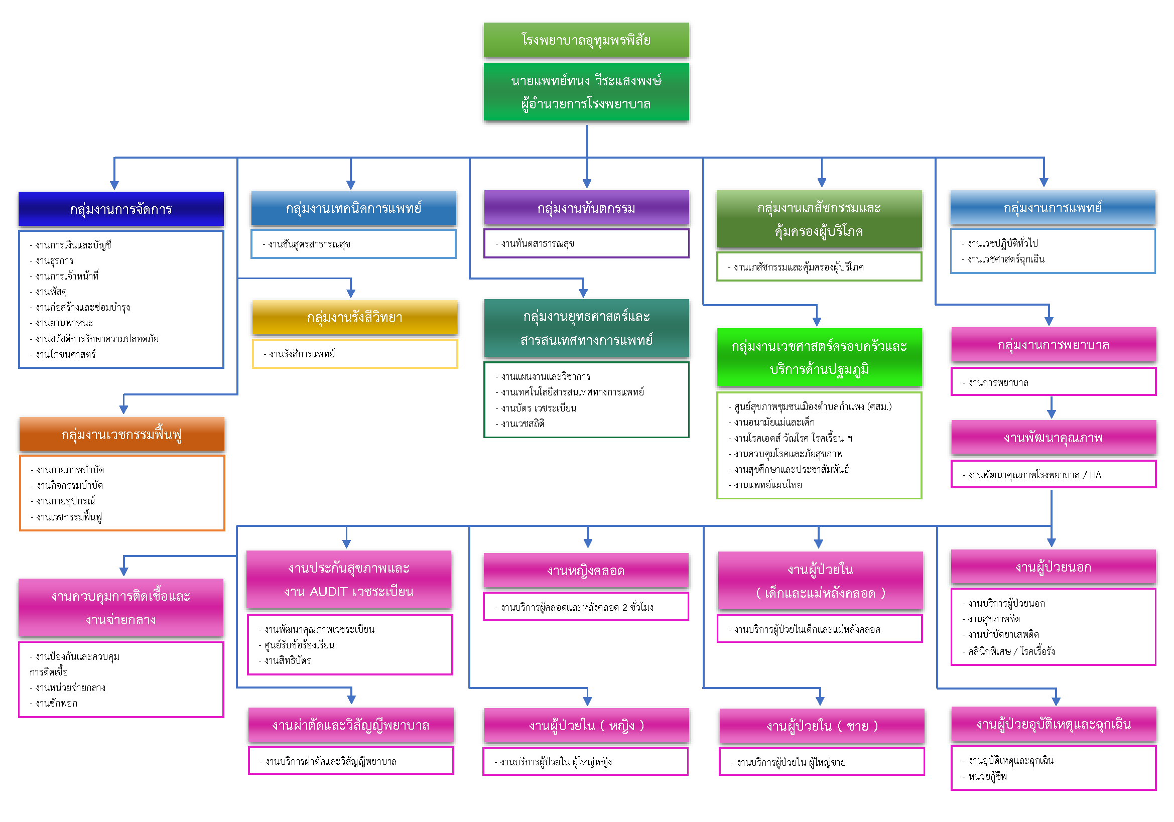 Organization Structure